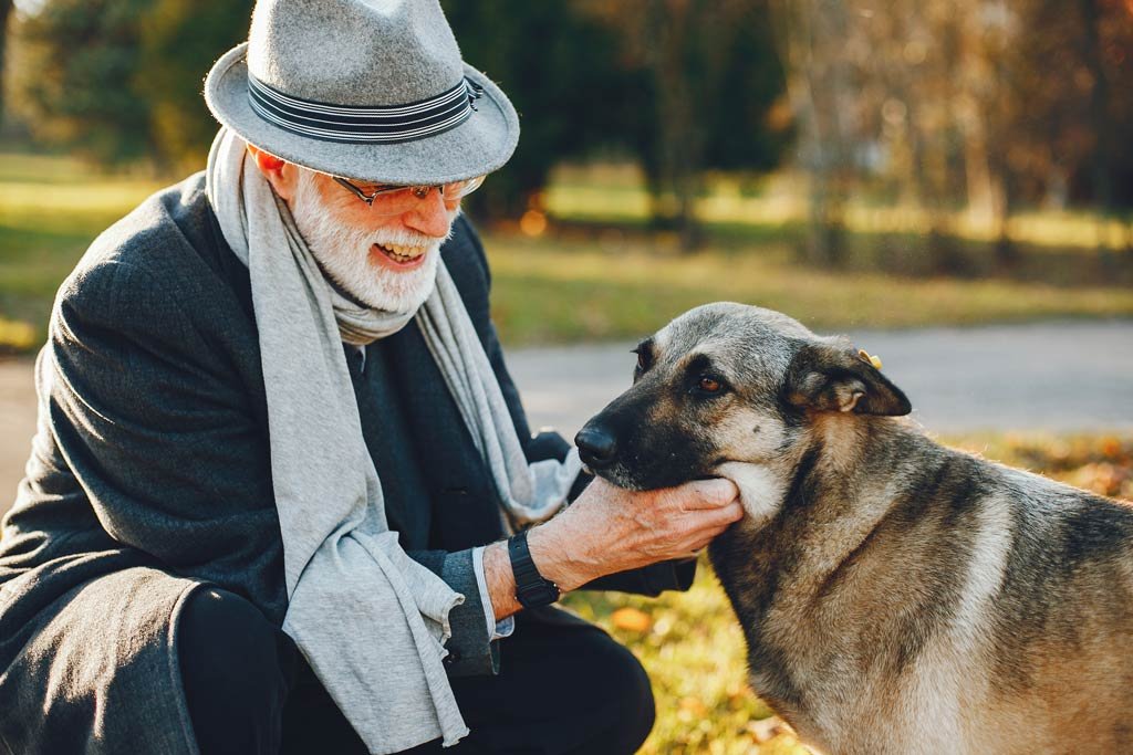 perro para personas mayores