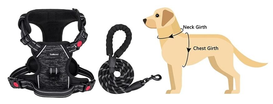 No Pull Dog Harness