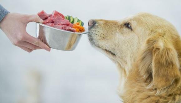 alimentos crudos para perros