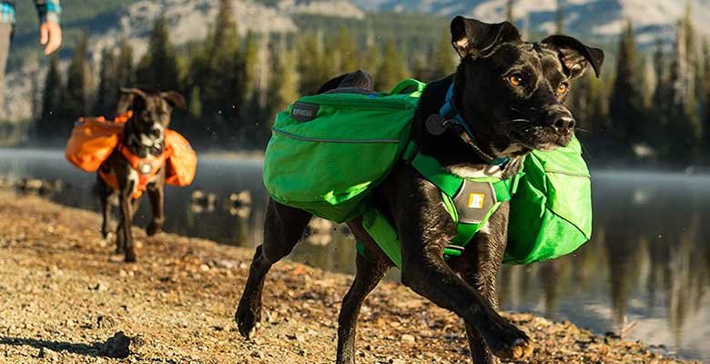 Arneses de carga para perros