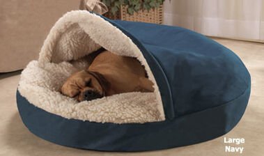 cama para perros