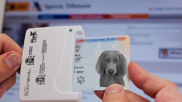 DNI para perros: un documento obligatorio ya en vigor