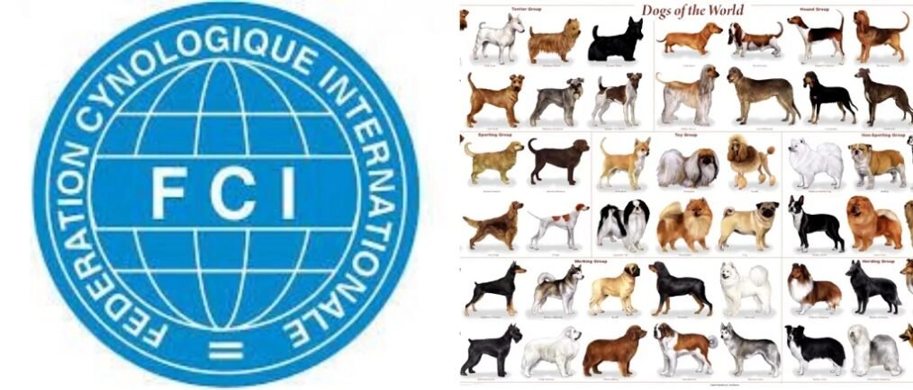 International Kennel Federation FCI