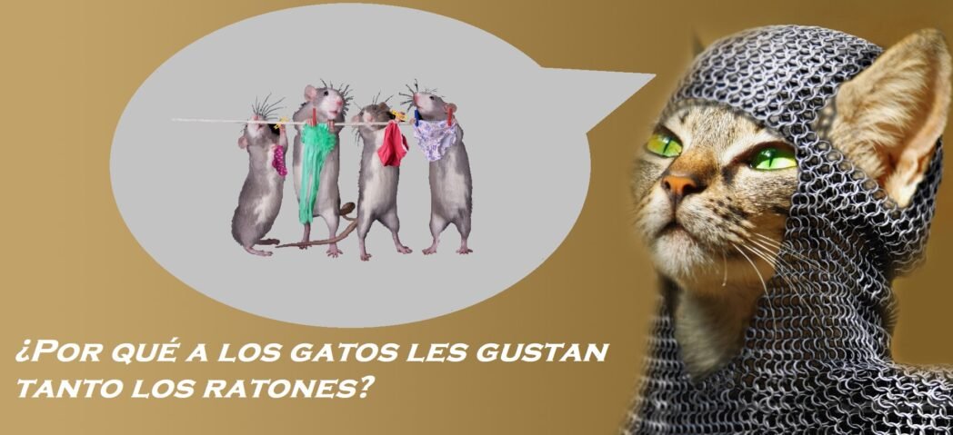 ¿por qué a los gatos les gustan tanto los ratones?