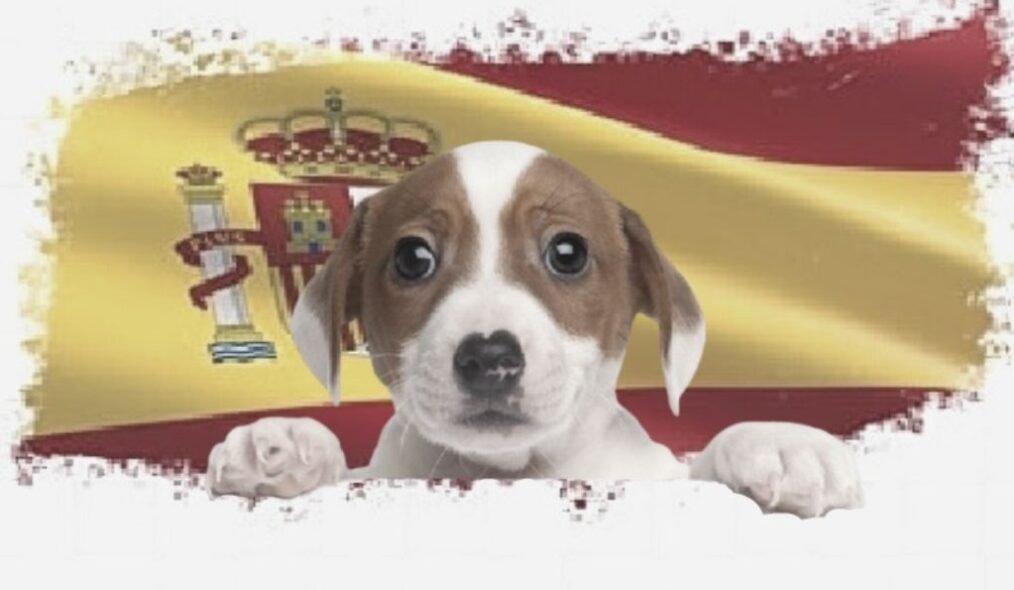 15 razas de perros españolas más populares