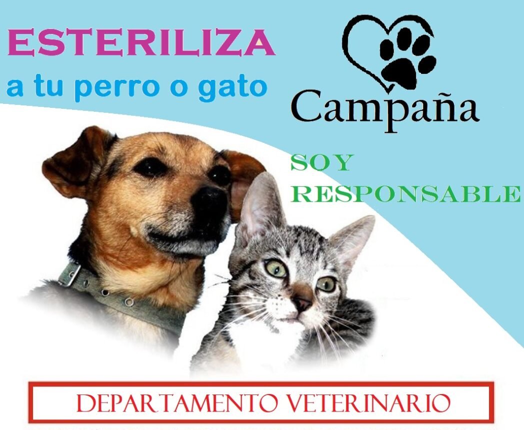 esterilización de perros y gatos