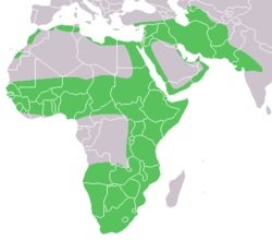 Distribución y hábitat del gato Caracal